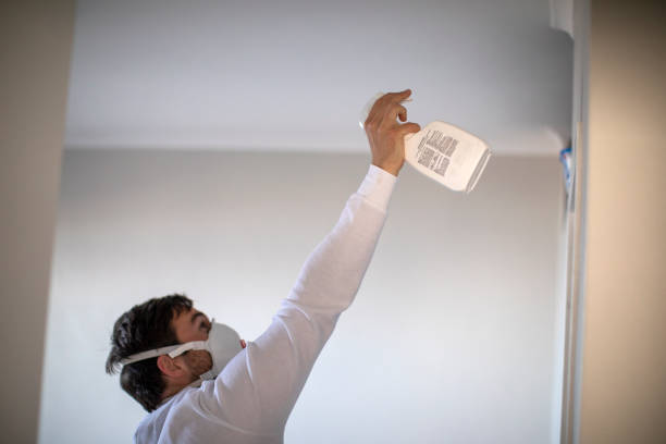 Best Insurance-Related Mold Remediation in Edgemont Park, MI